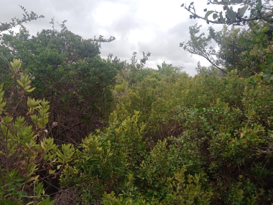 Commercial Property for Sale in Wavecrest Eastern Cape